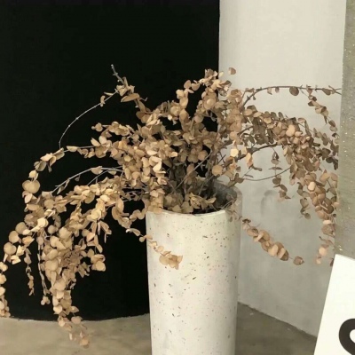 Furry插画氛围提升FurryQQ群